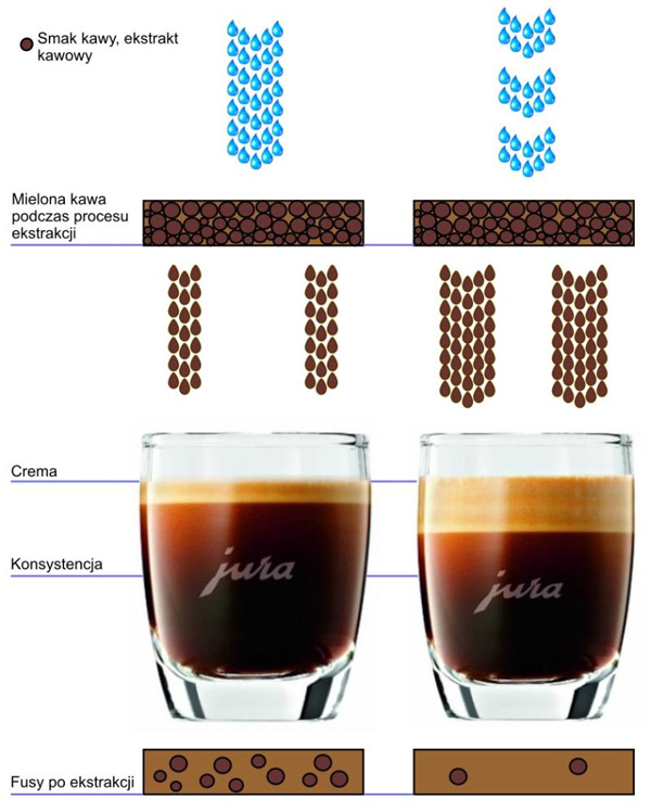 Technologia parzenia kawy w ekspresach Jura