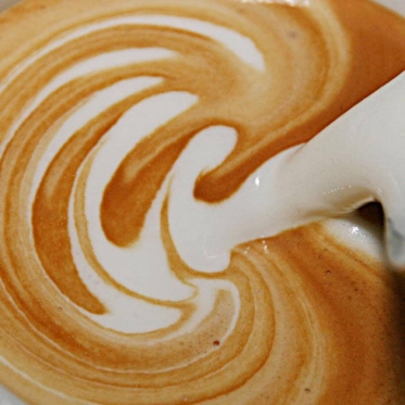 Pianka mleczna uzyskana dzięki technice Spumatore ekspresu Nivona 